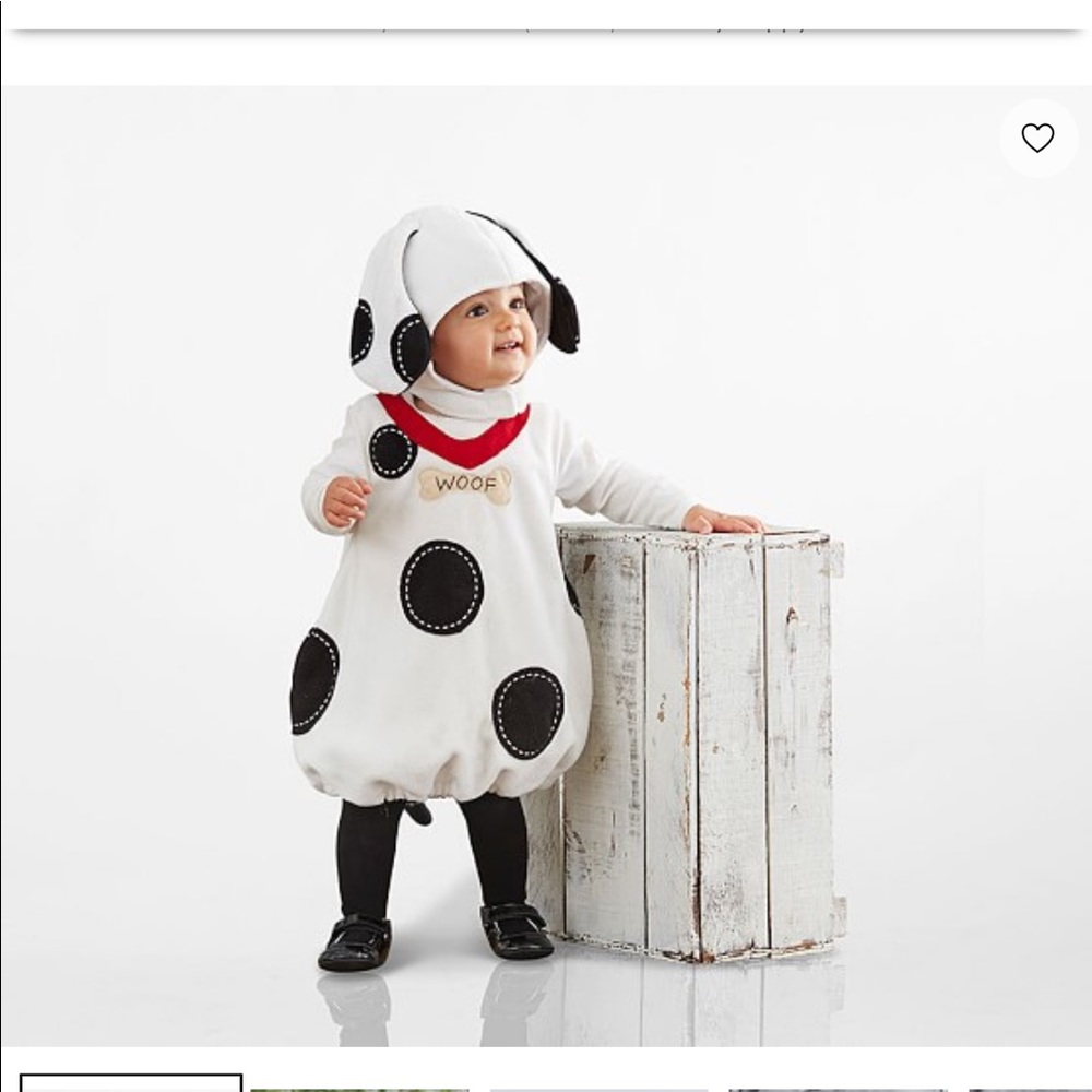 Pottery Barn 2T-3T puppy dog costume.